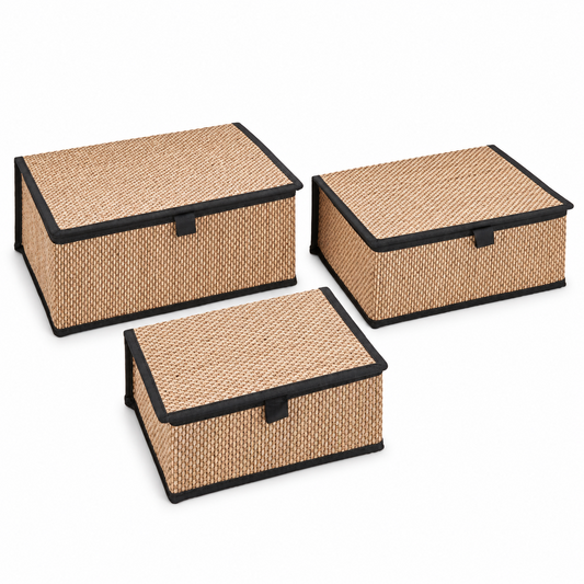 Set of 3 Foldable Woven Storage Boxes with Lids