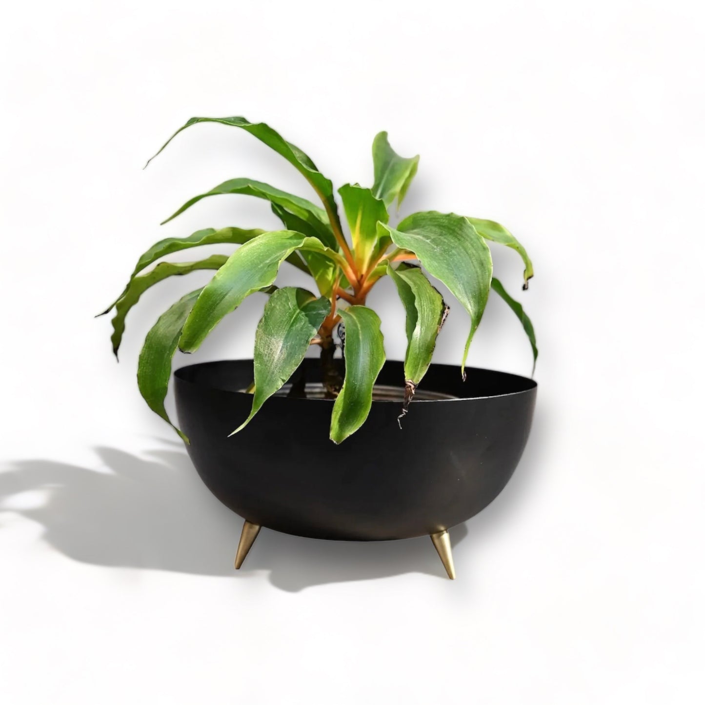 Black and Gold 3-Legged Metal Round Pot