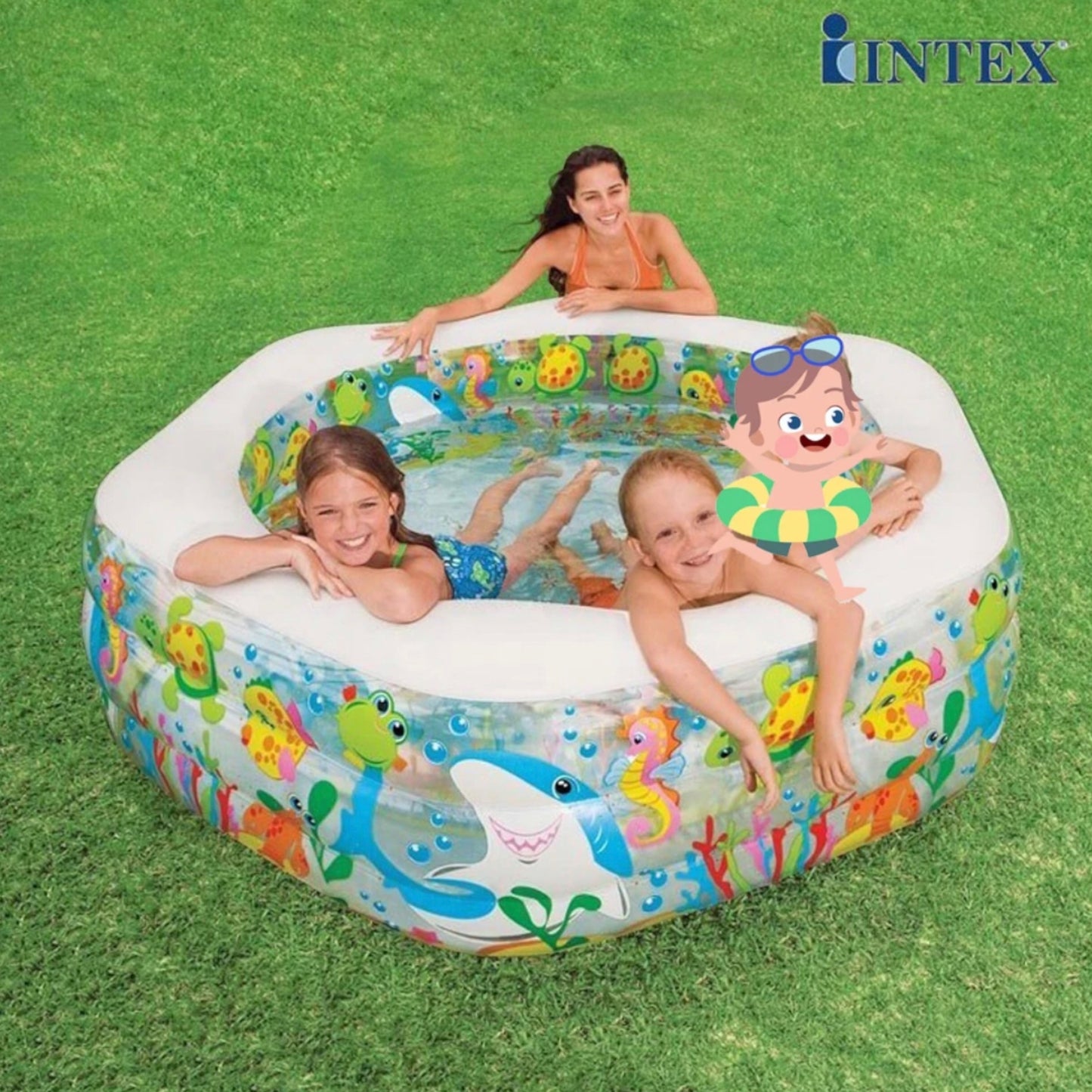 INTEX Aquarium 510 litres Swimming Pool